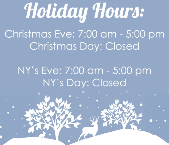 Lees Holiday Hours 2025